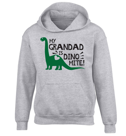 My grandad is dinomite! children's grey hoodie 12-13 Years