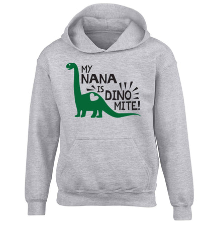 My nana is dinomite! children's grey hoodie 12-13 Years