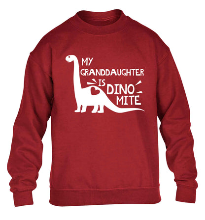 My granddaughter is dinomite! children's grey sweater 12-13 Years