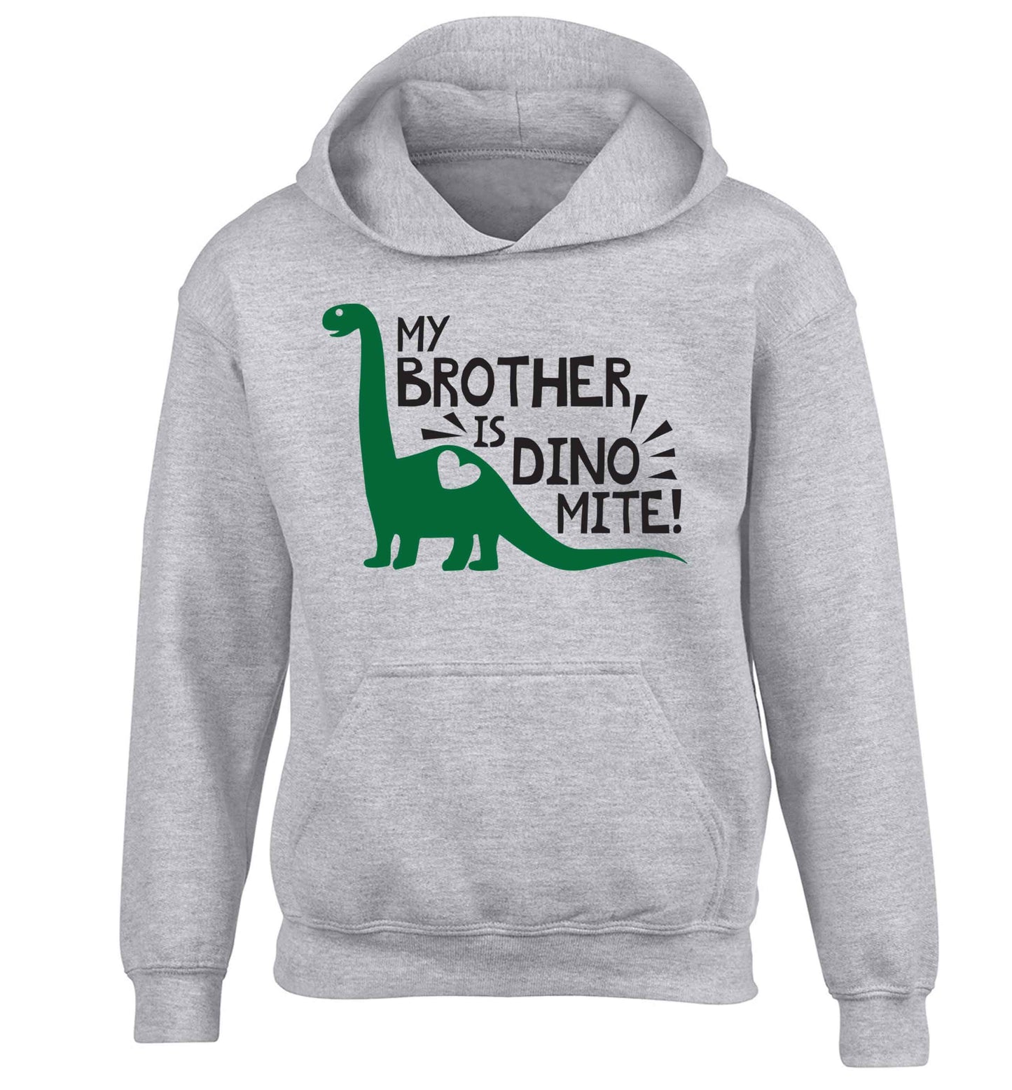 My brother is dinomite! children's grey hoodie 12-13 Years