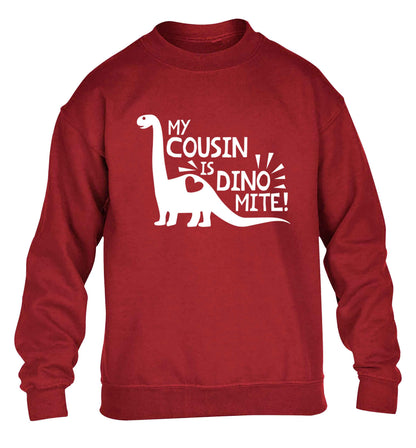 My cousin is dinomite! children's grey sweater 12-13 Years