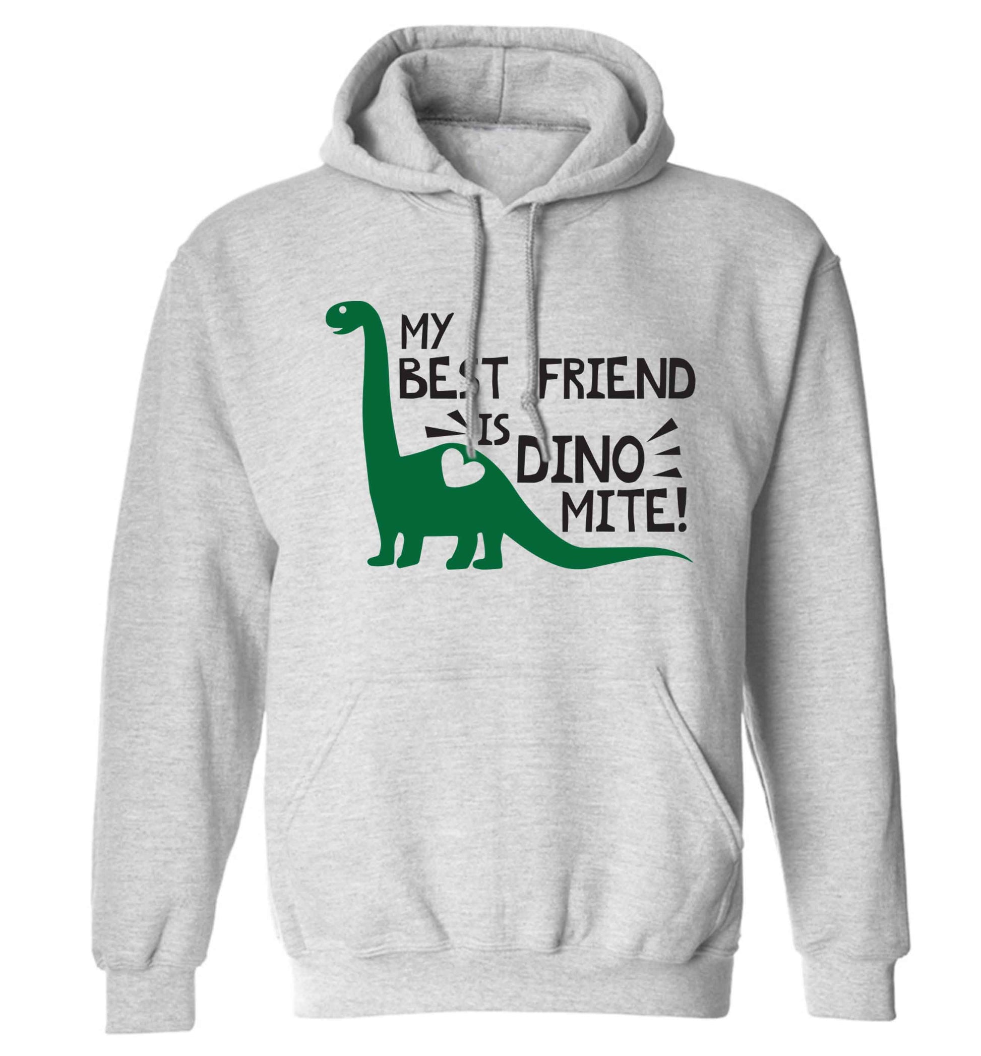My best friend is dinomite! adults unisex grey hoodie 2XL
