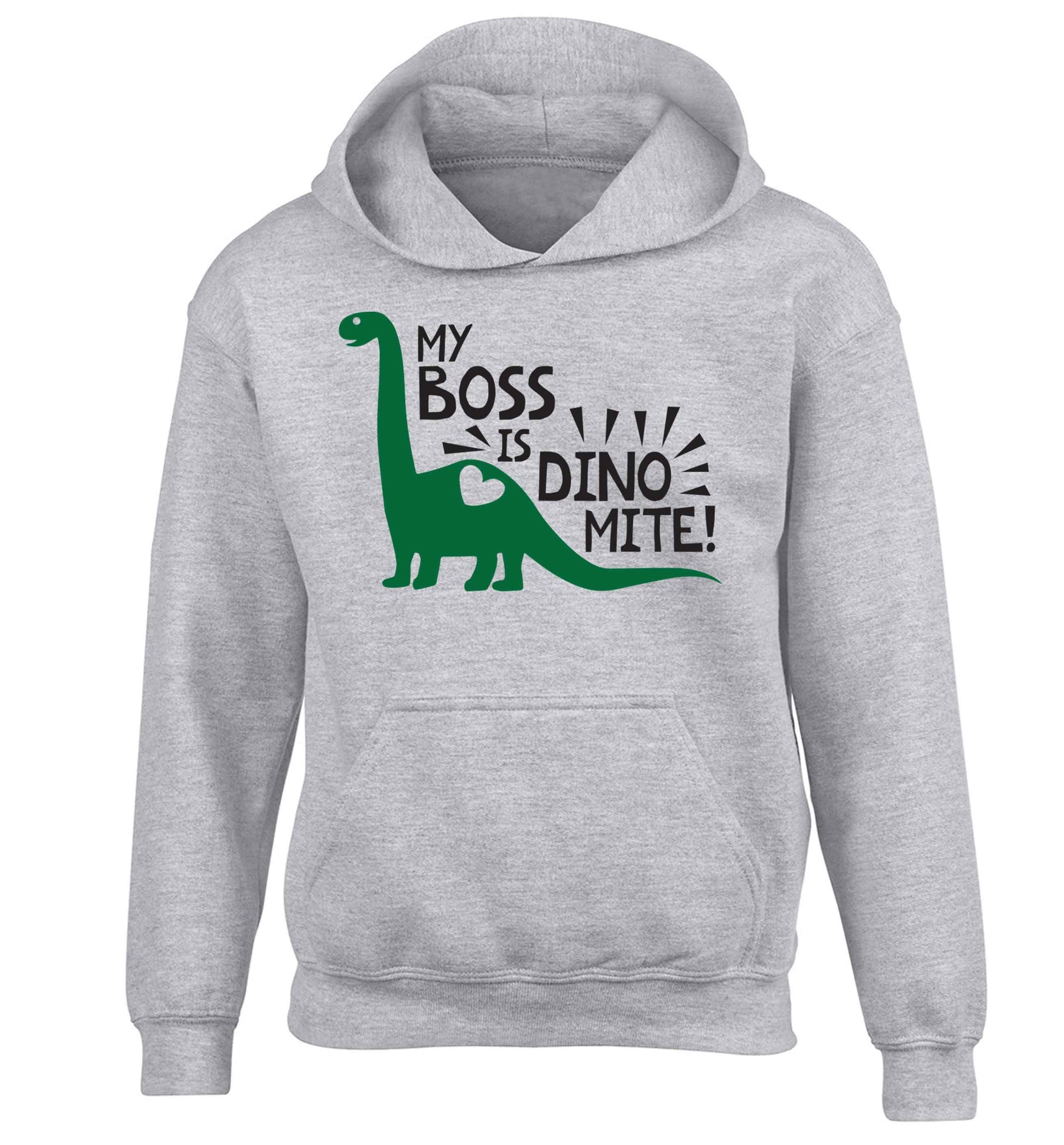 My boss is dinomite! children's grey hoodie 12-13 Years