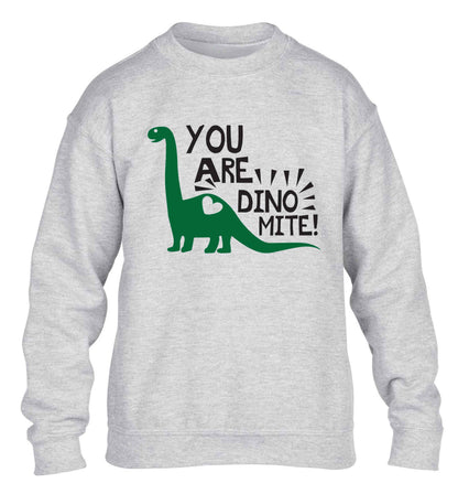 You are dinomite! children's grey sweater 12-13 Years