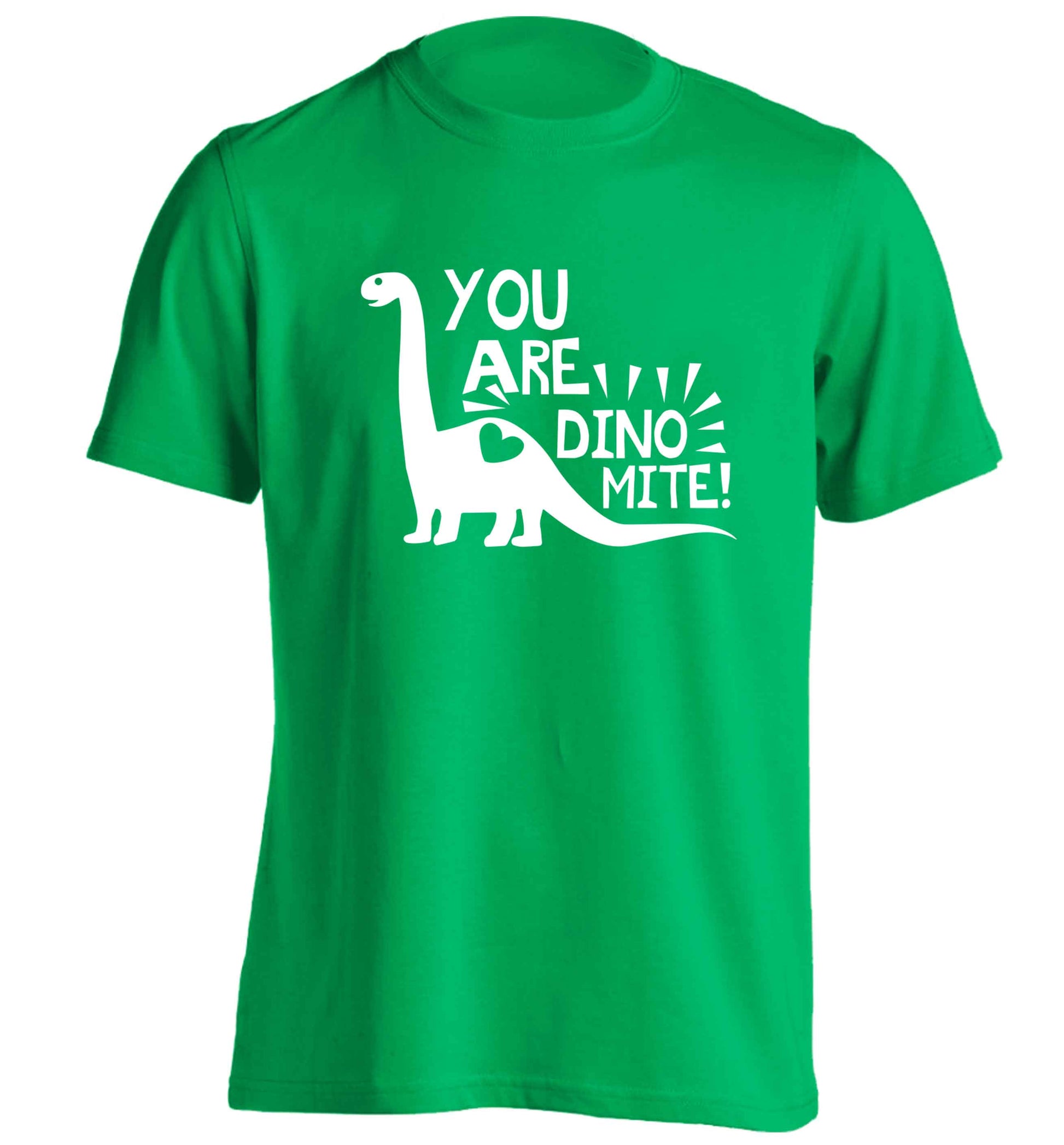 You are dinomite! adults unisex green Tshirt 2XL