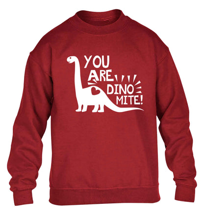 You are dinomite! children's grey sweater 12-13 Years
