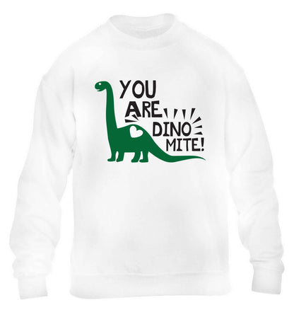 You are dinomite! children's white sweater 12-13 Years