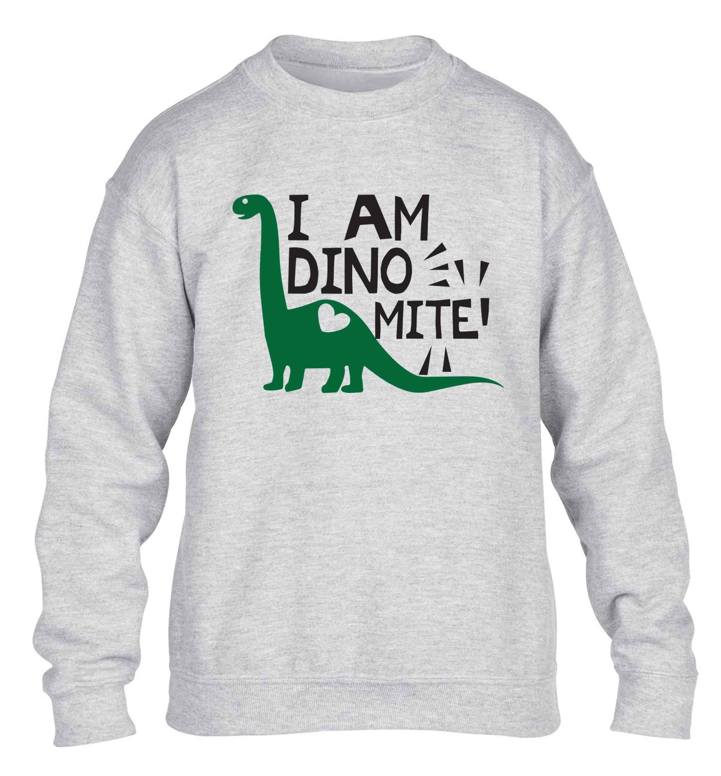 I am dinomite! children's grey sweater 12-13 Years