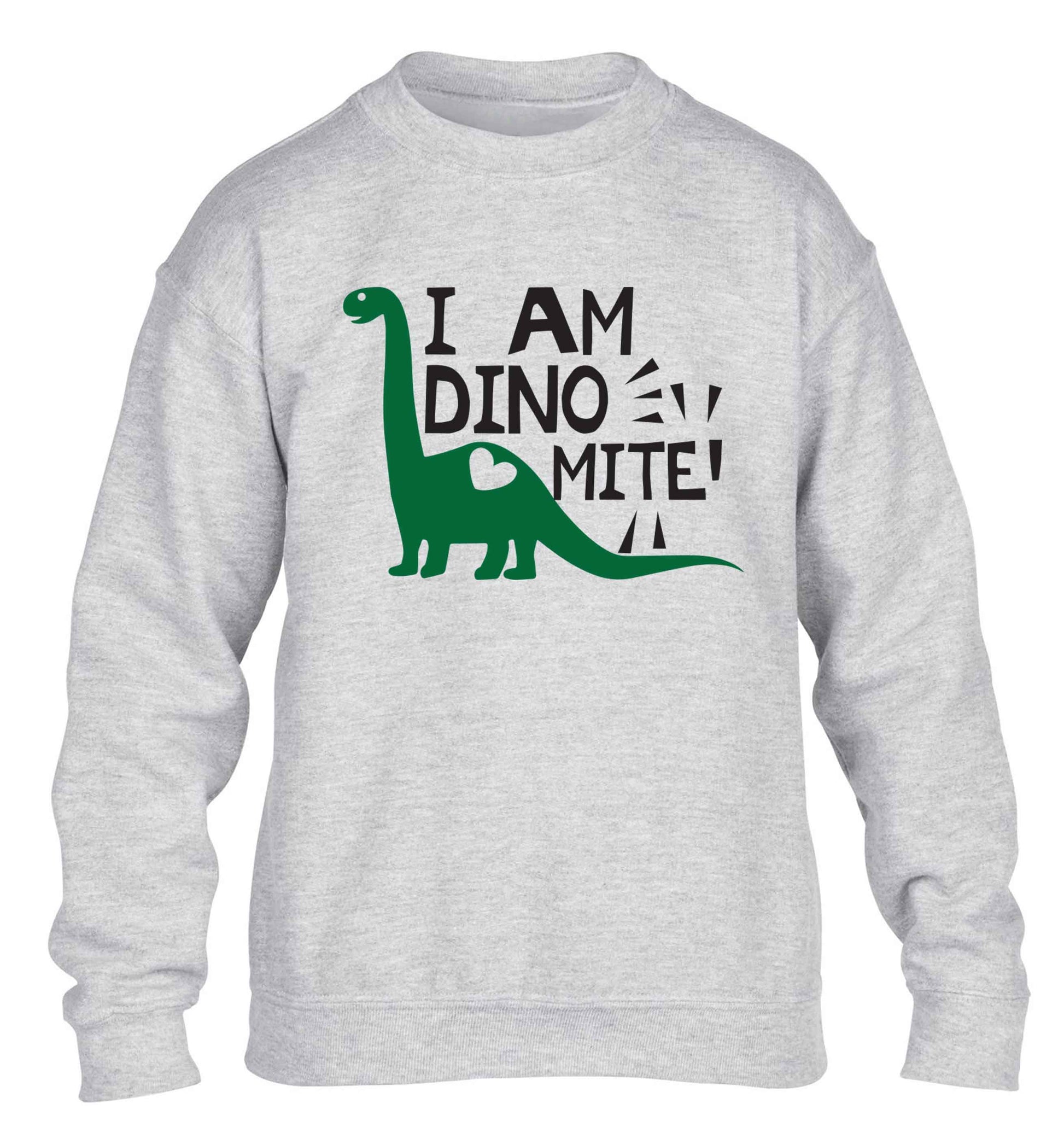 I am dinomite! children's grey sweater 12-13 Years
