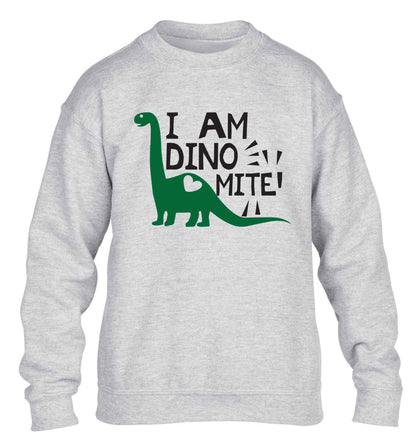 I am dinomite! children's grey sweater 12-13 Years