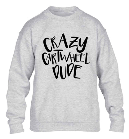 Crazy cartwheel dude children's grey sweater 12-13 Years