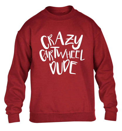 Crazy cartwheel dude children's grey sweater 12-13 Years