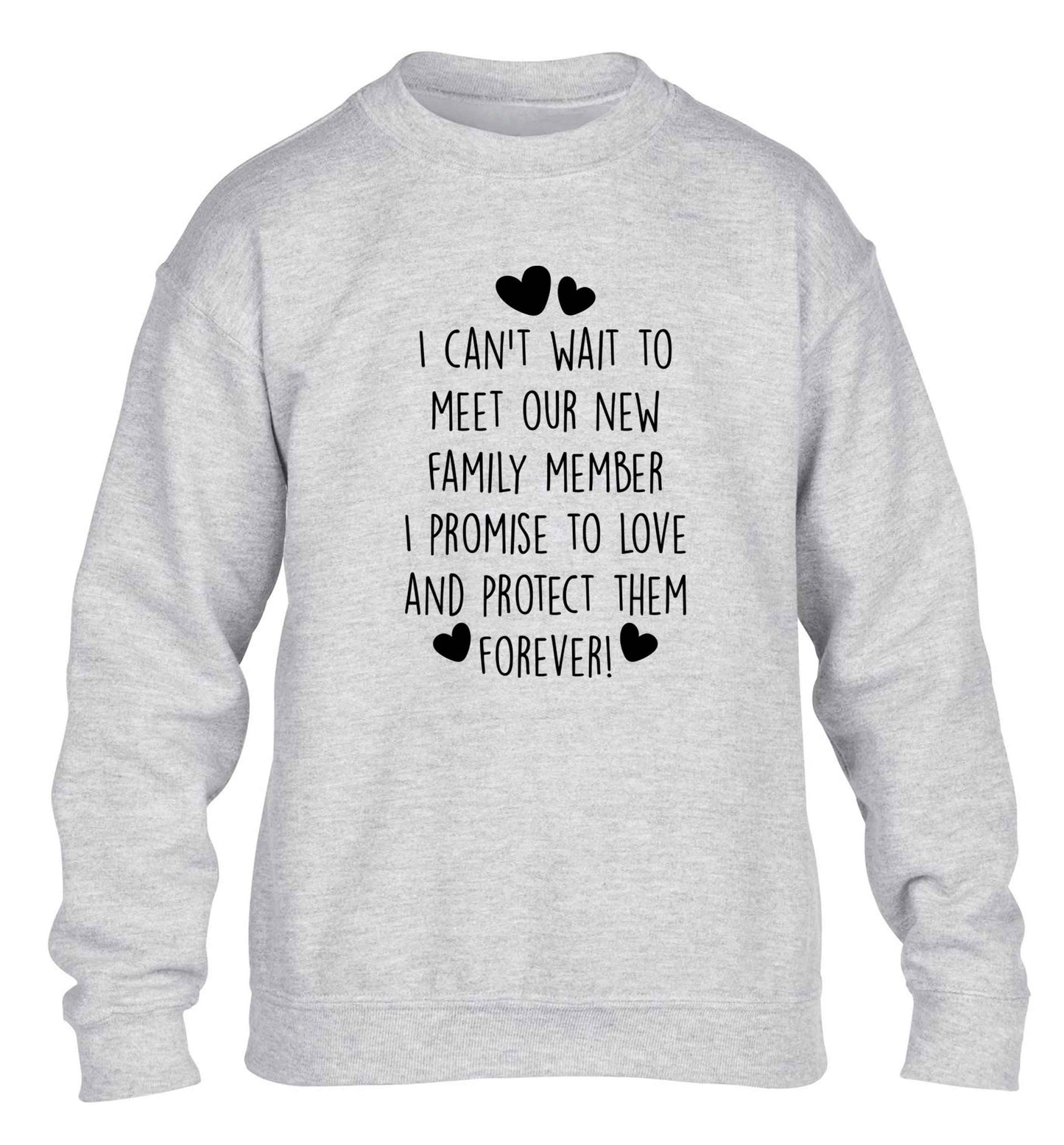 I can't wait to meet our new family member I promise to love and protect them foreverchildren's grey sweater 12-13 Years