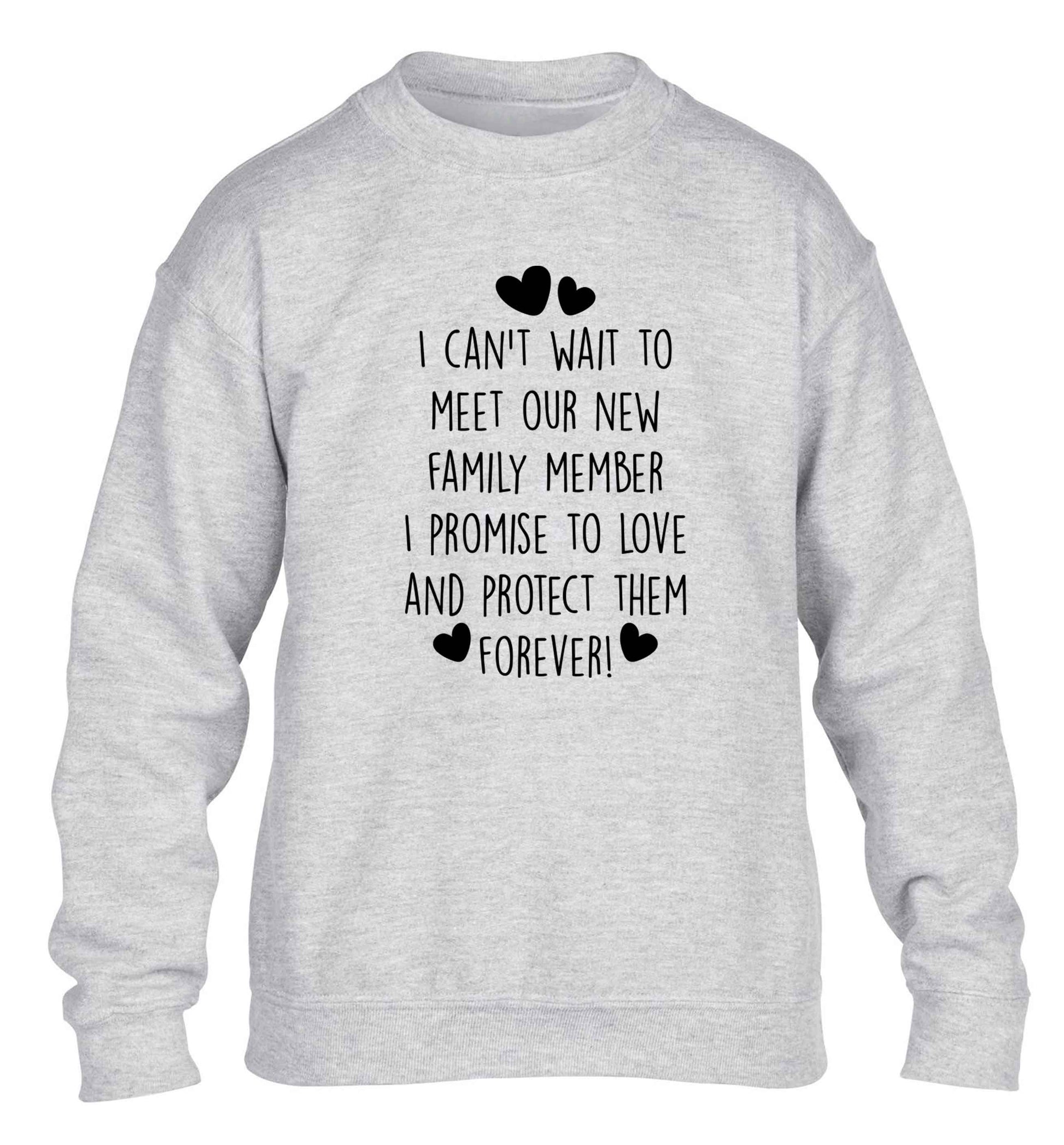 I can't wait to meet our new family member I promise to love and protect them foreverchildren's grey sweater 12-13 Years