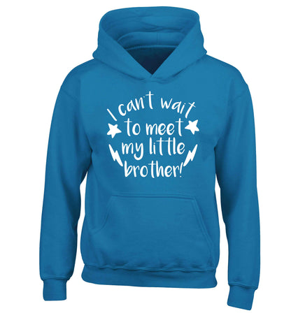 I can't wait to meet my sister! children's blue hoodie 12-13 Years