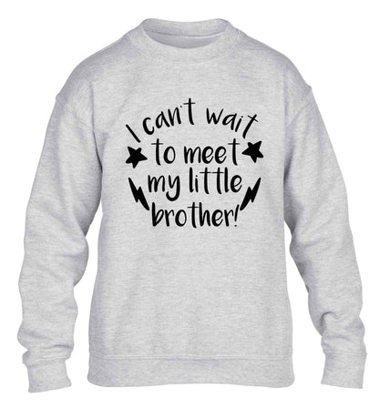 I can't wait to meet my sister! children's grey sweater 12-13 Years