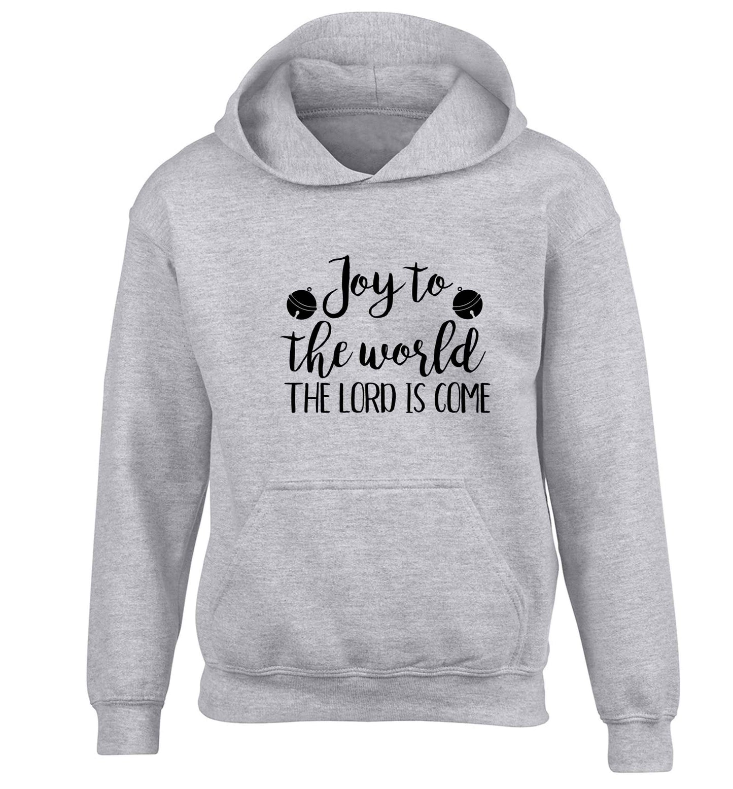 Joy to the World Lord children's grey hoodie 12-13 Years
