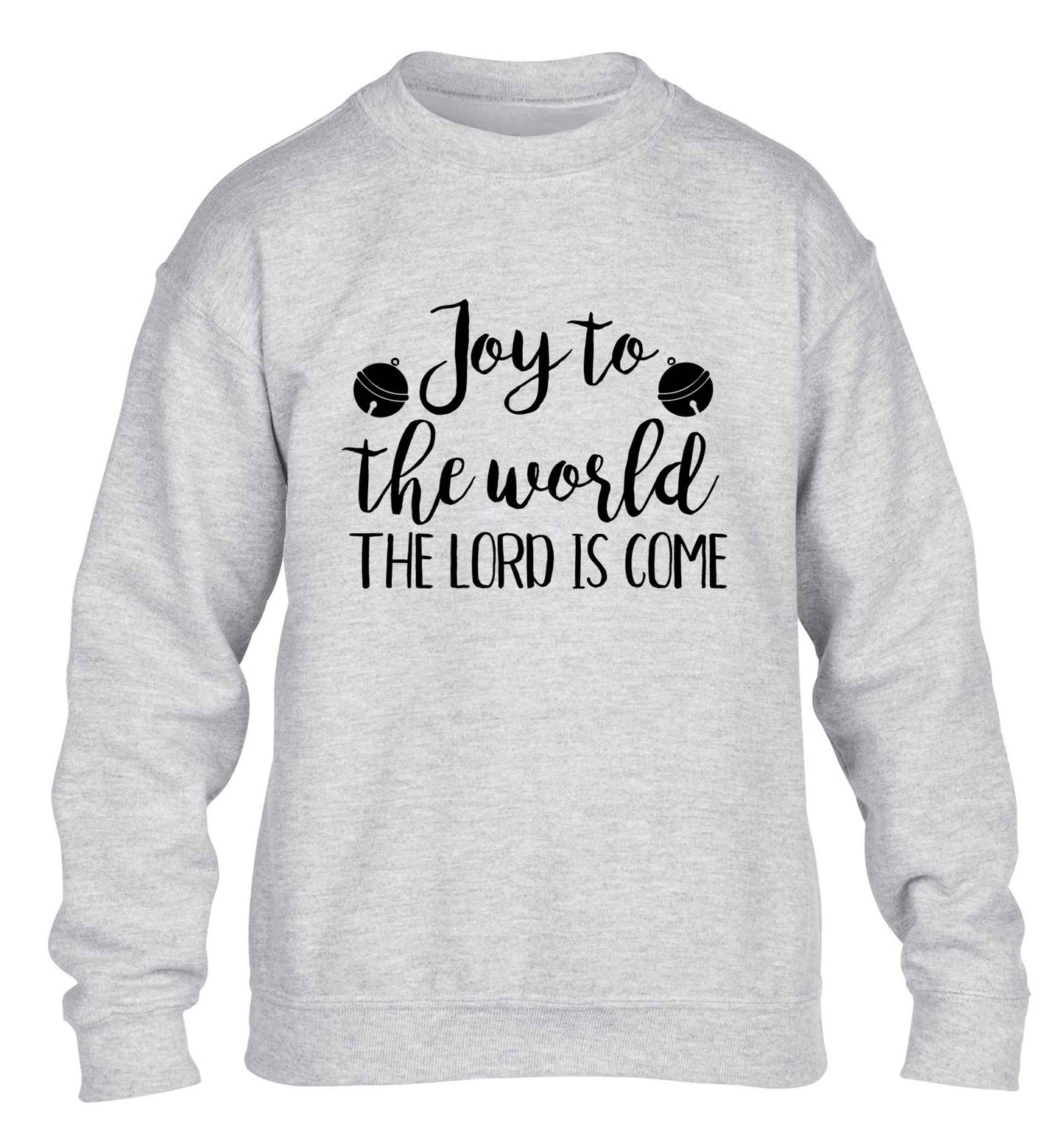 Joy to the World Lord children's grey sweater 12-13 Years