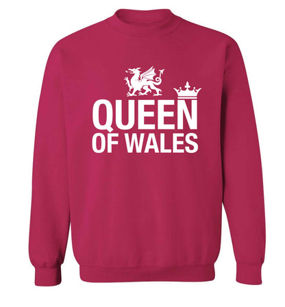 Queen of Wales Adult's unisex pink Sweater 2XL
