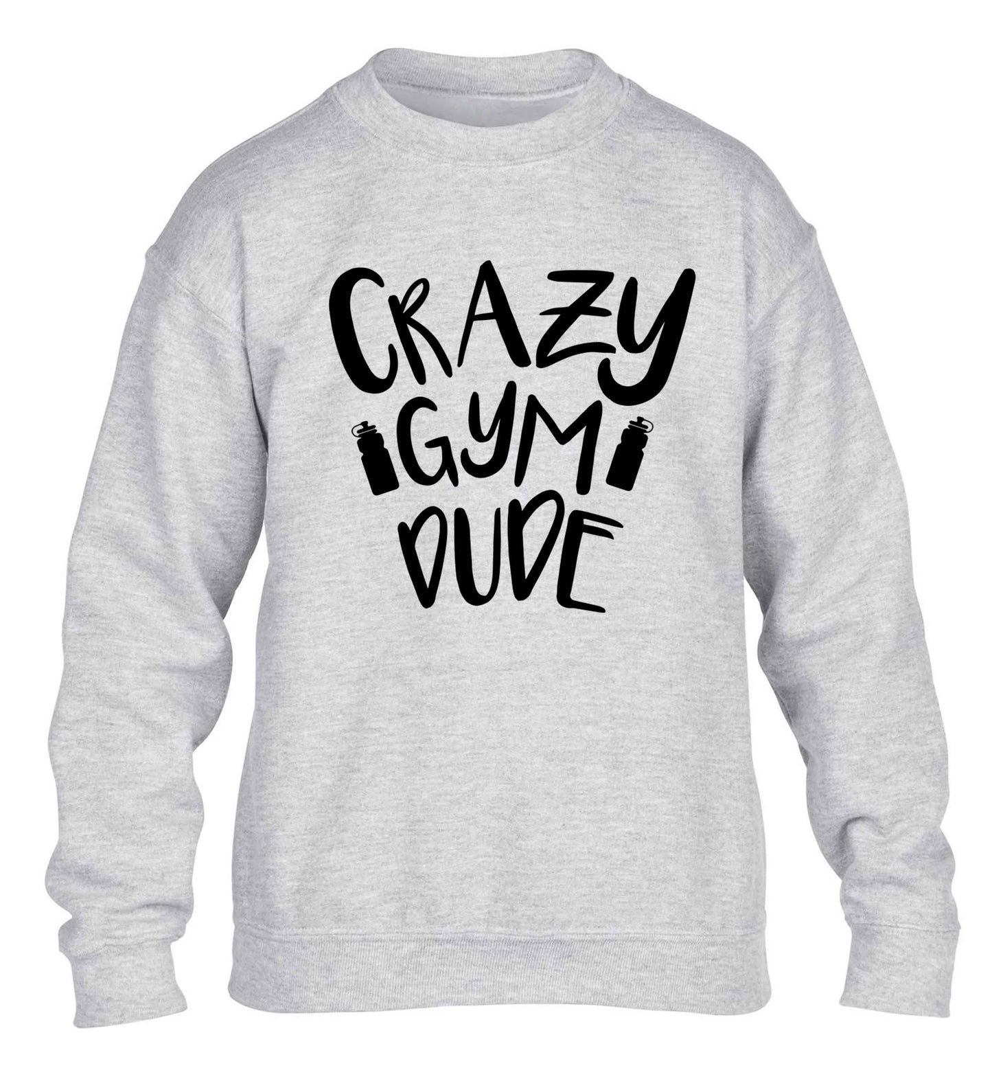 Crazy gym dude children's grey sweater 12-13 Years