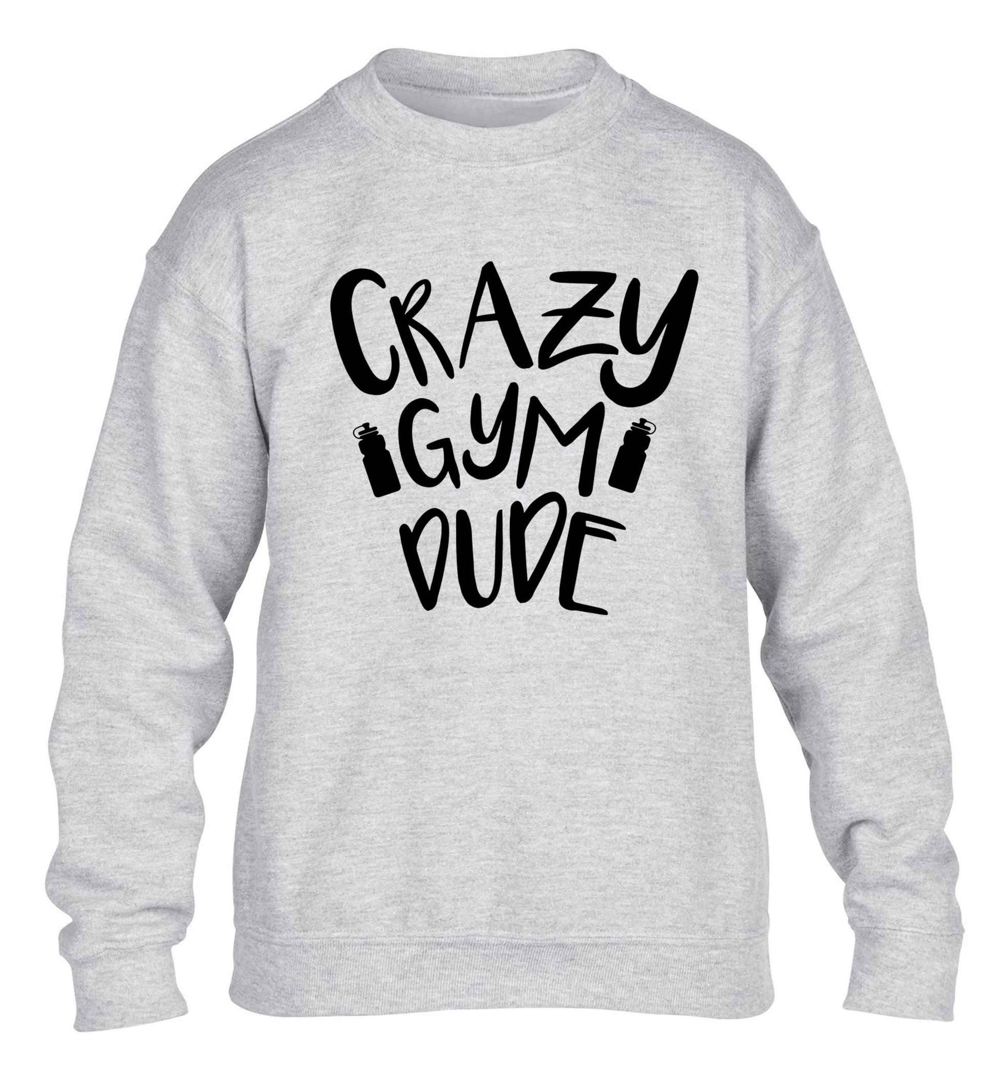 Crazy gym dude children's grey sweater 12-13 Years