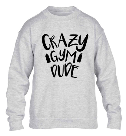 Crazy gym dude children's grey sweater 12-13 Years