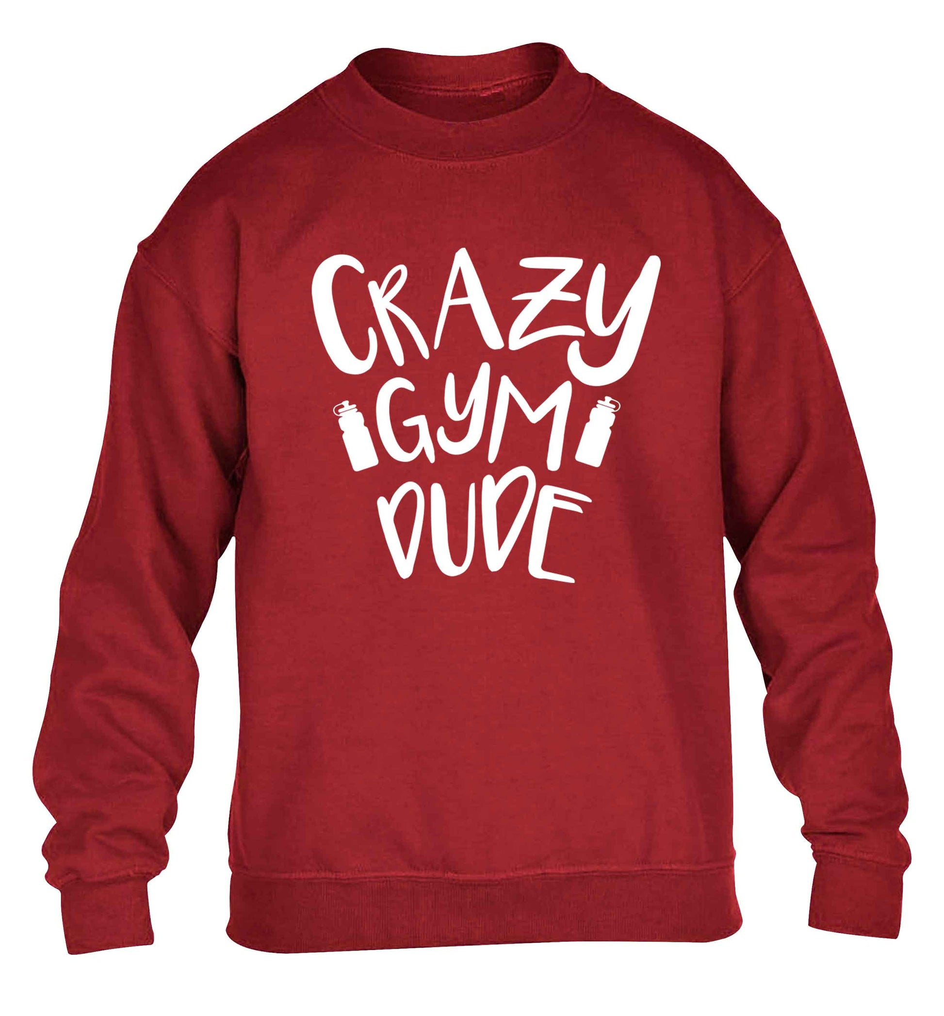 Crazy gym dude children's grey sweater 12-13 Years