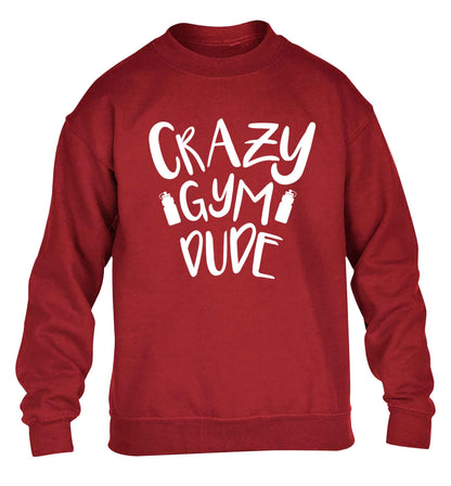 Crazy gym dude children's grey sweater 12-13 Years