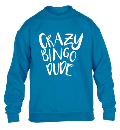 Crazy bingo dude children's blue sweater 12-13 Years