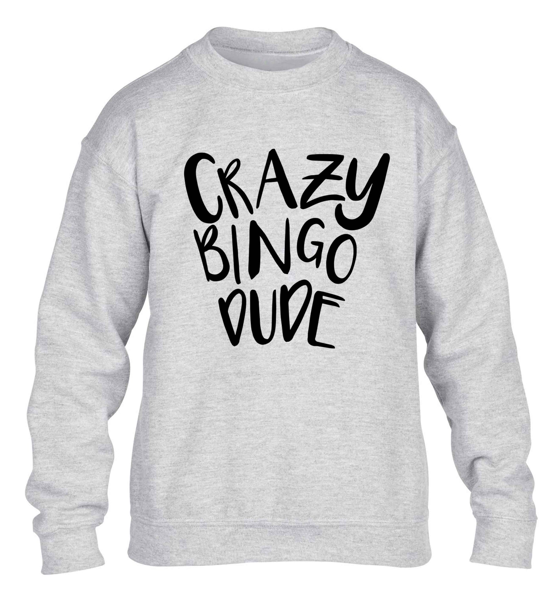 Crazy bingo dude children's grey sweater 12-13 Years