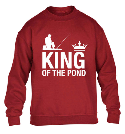 King of the pond children's grey sweater 12-13 Years