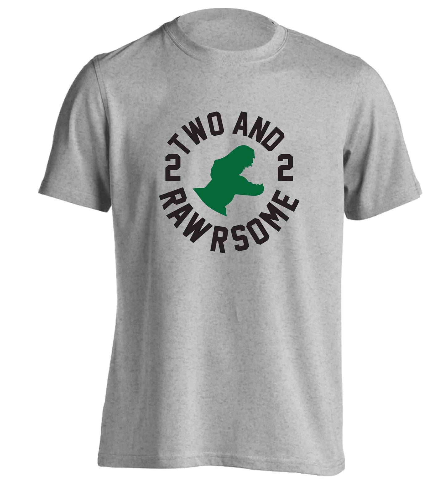 Two and rawrsome adults unisex grey Tshirt 2XL