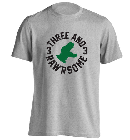 Three and rawrsome adults unisex grey Tshirt 2XL