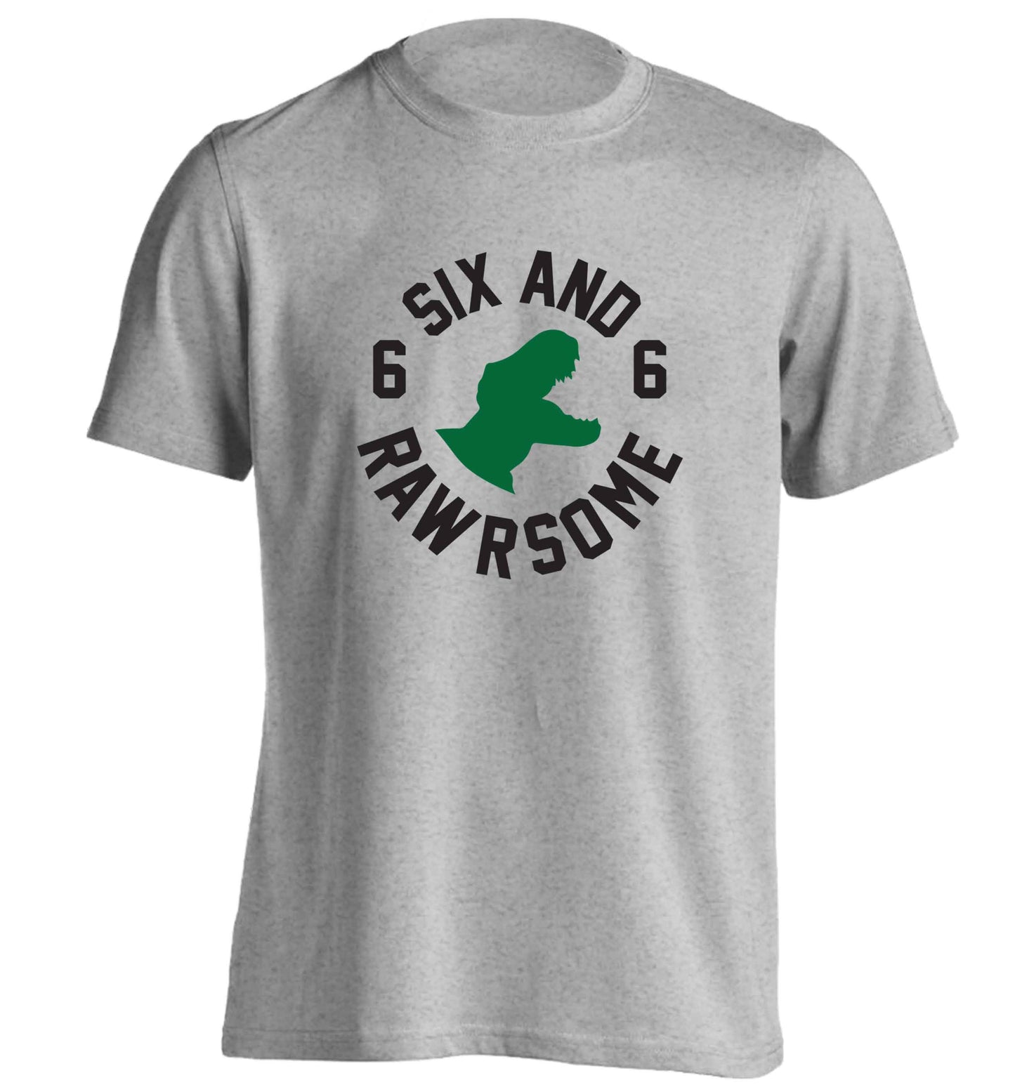 Six and rawrsome adults unisex grey Tshirt 2XL