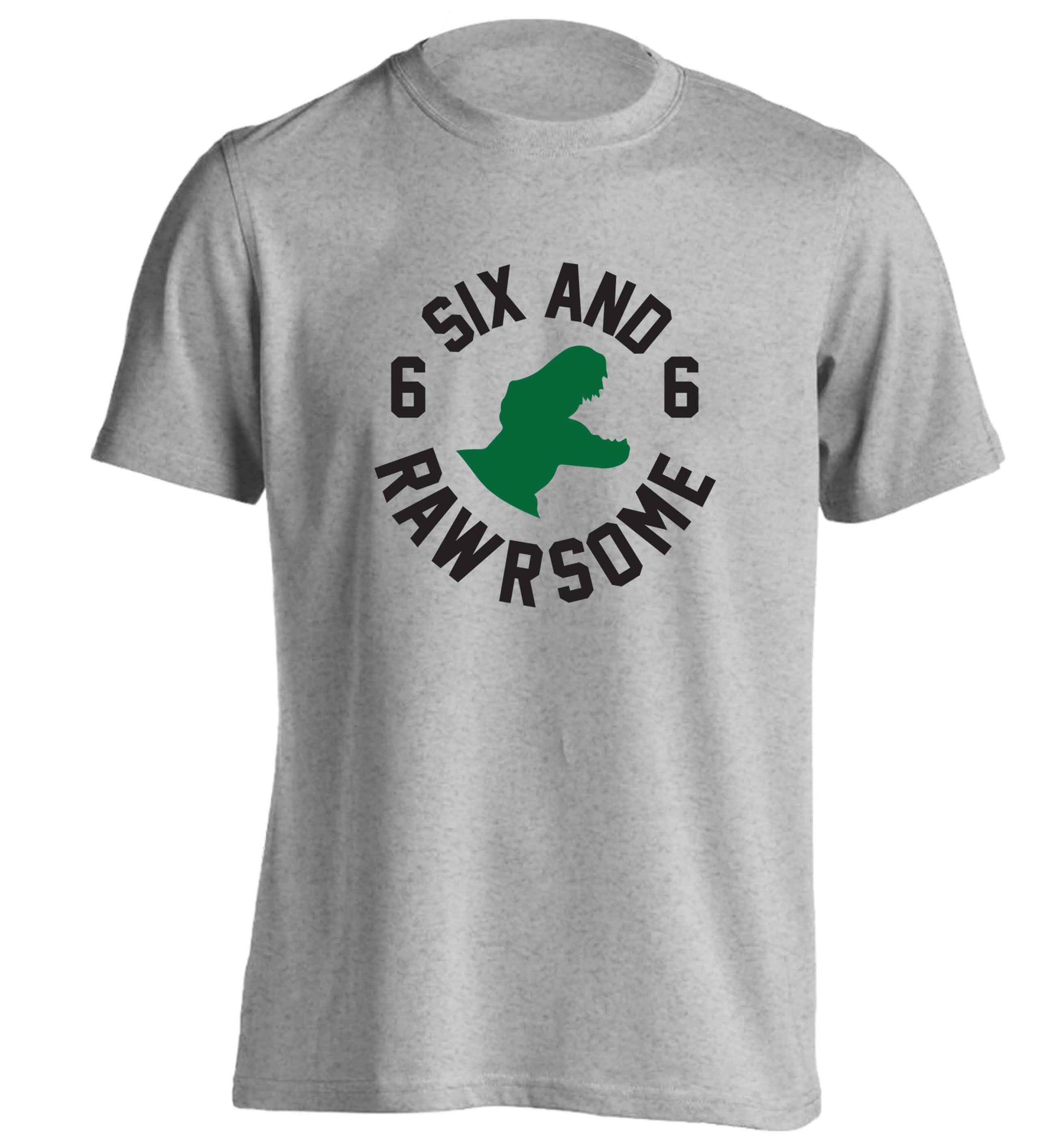 Six and rawrsome adults unisex grey Tshirt 2XL