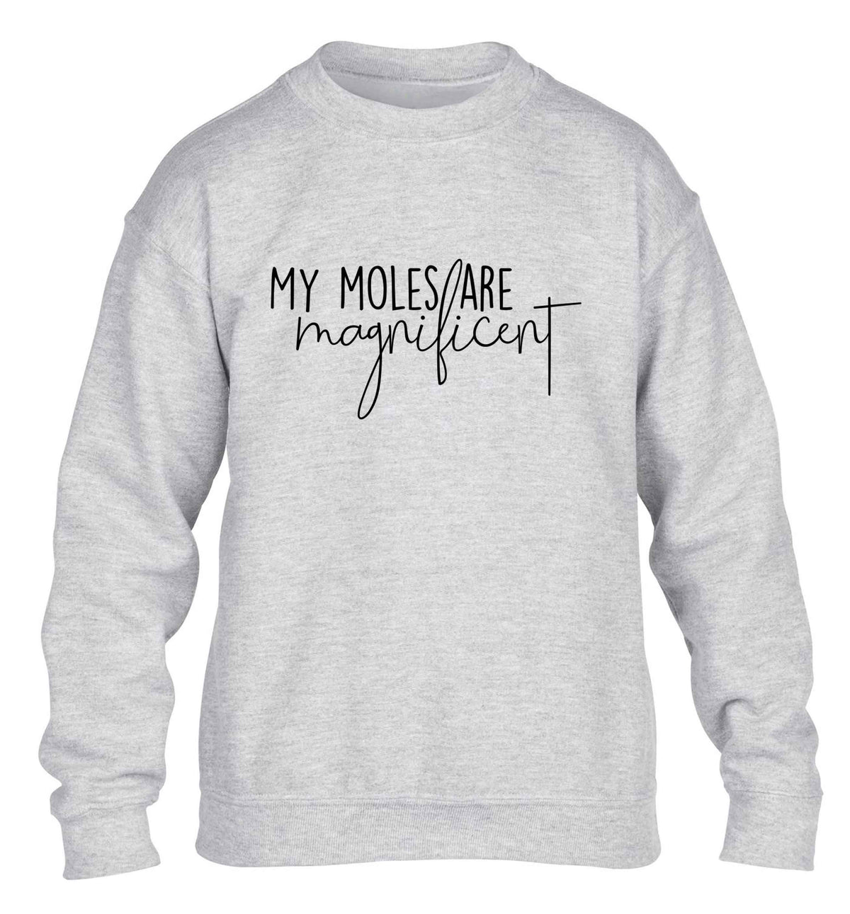 My moles are magnificent children's grey sweater 12-13 Years