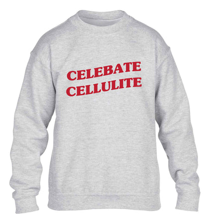 Celebrate cellulite children's grey sweater 12-13 Years