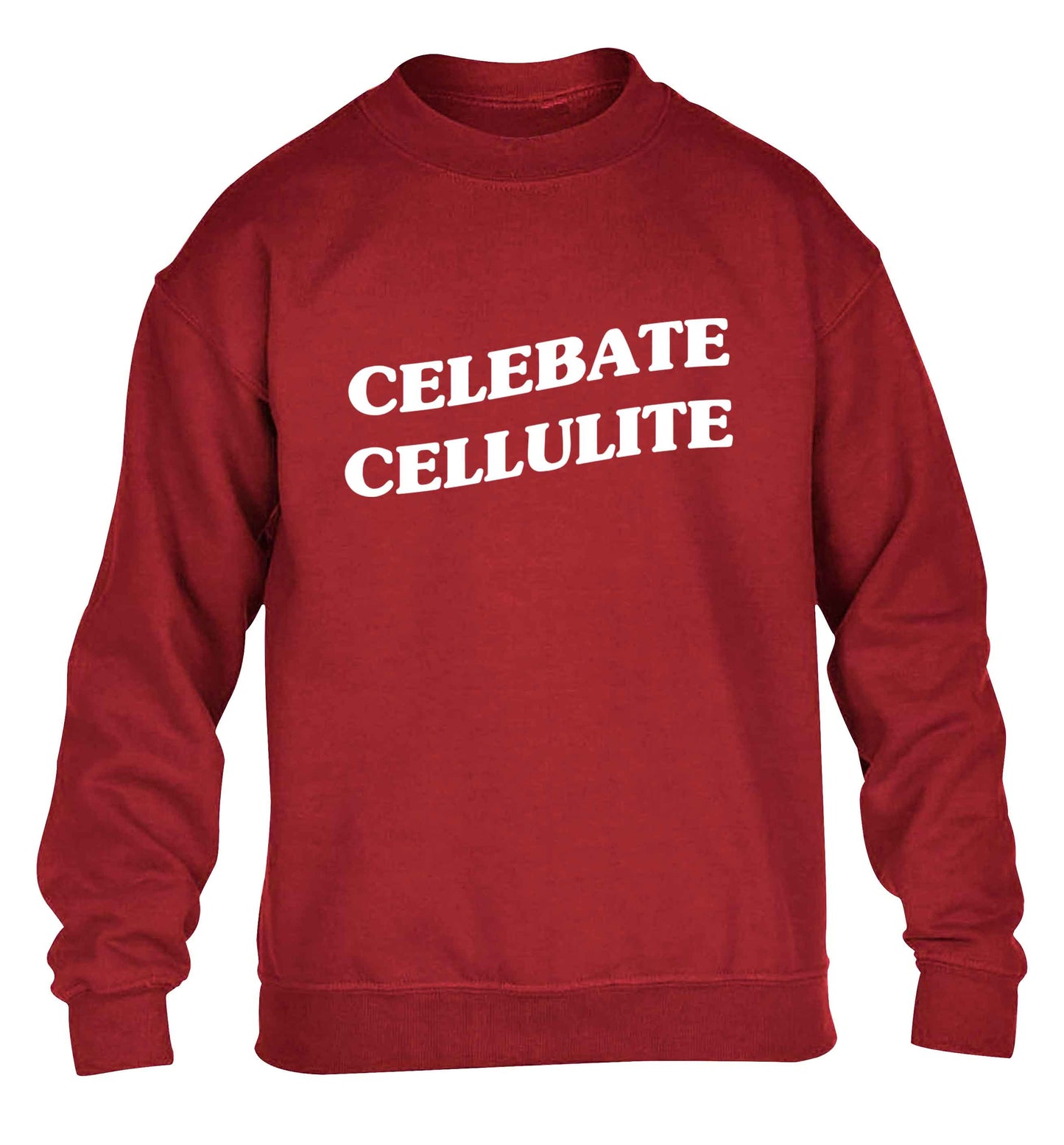 Celebrate cellulite children's grey sweater 12-13 Years