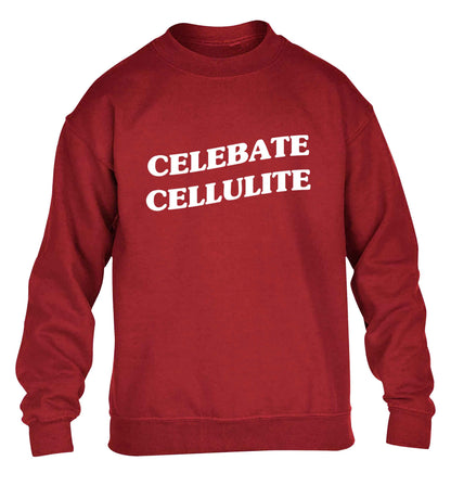 Celebrate cellulite children's grey sweater 12-13 Years