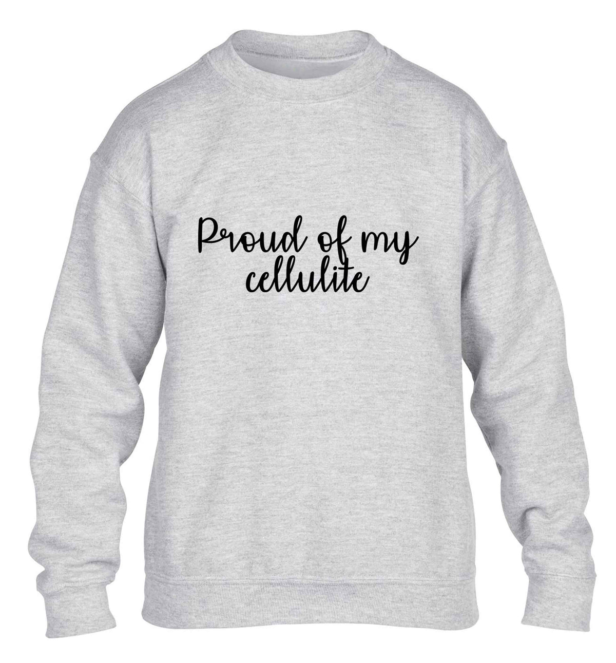 Proud of my cellulite children's grey sweater 12-13 Years