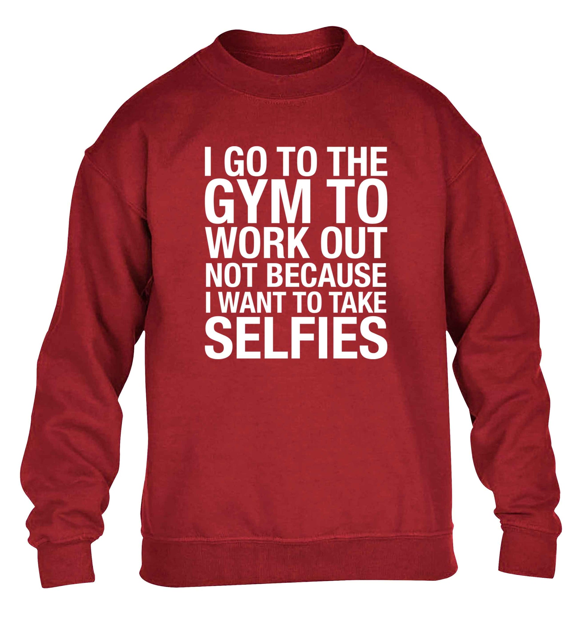I go to the gym to workout not to take selfies children's grey sweater 12-13 Years