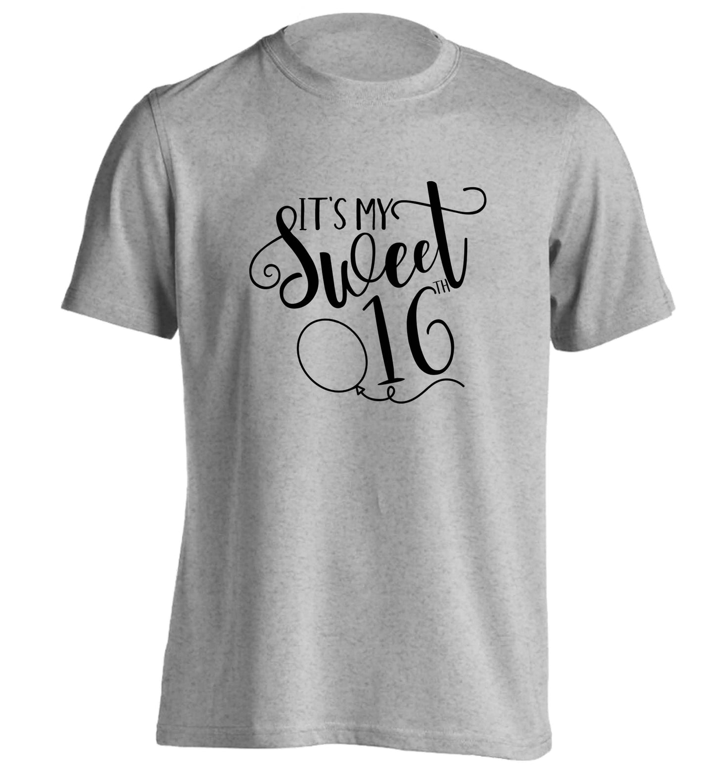 It's my sweet 16thadults unisex grey Tshirt 2XL