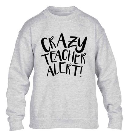 Crazy teacher alert children's grey sweater 12-13 Years