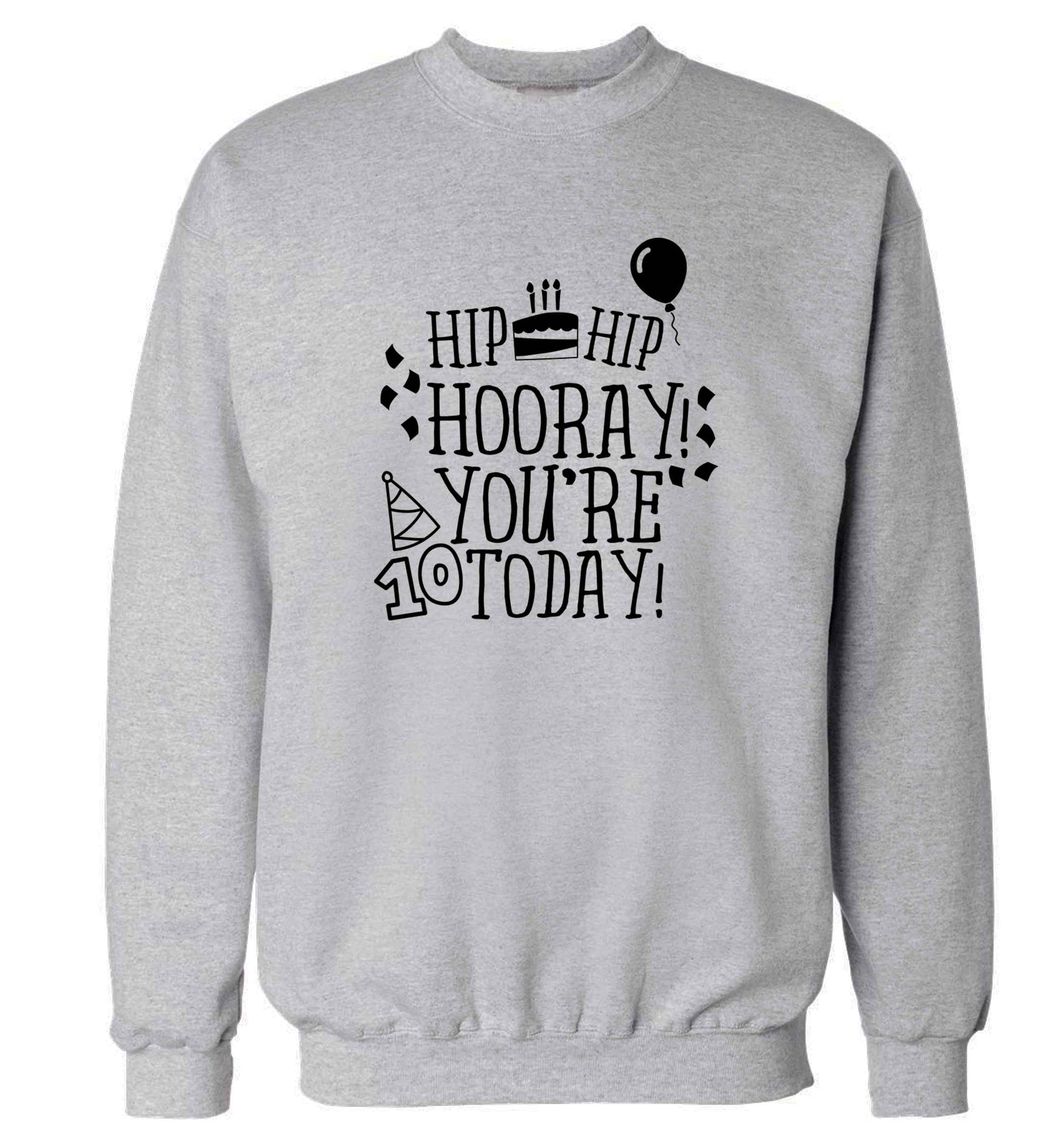 Hip hip hooray you're ten today! adult's unisex grey sweater 2XL