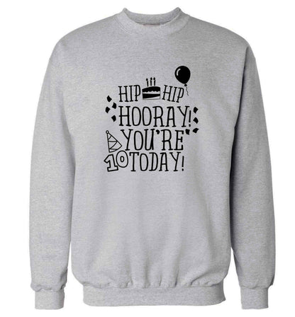 Hip hip hooray you're ten today! adult's unisex grey sweater 2XL