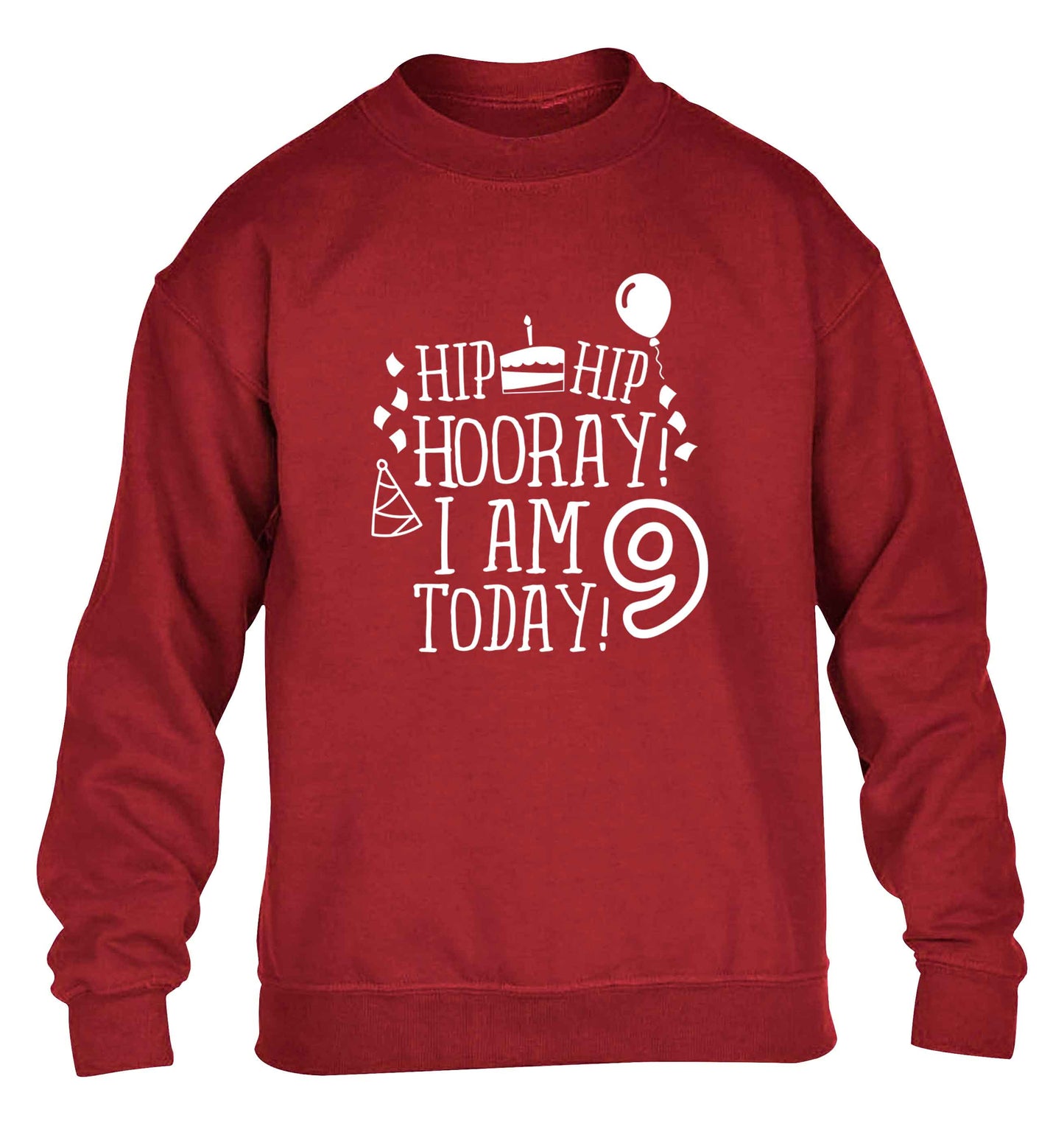 Hip hip hooray I am 9 today! children's grey sweater 12-13 Years