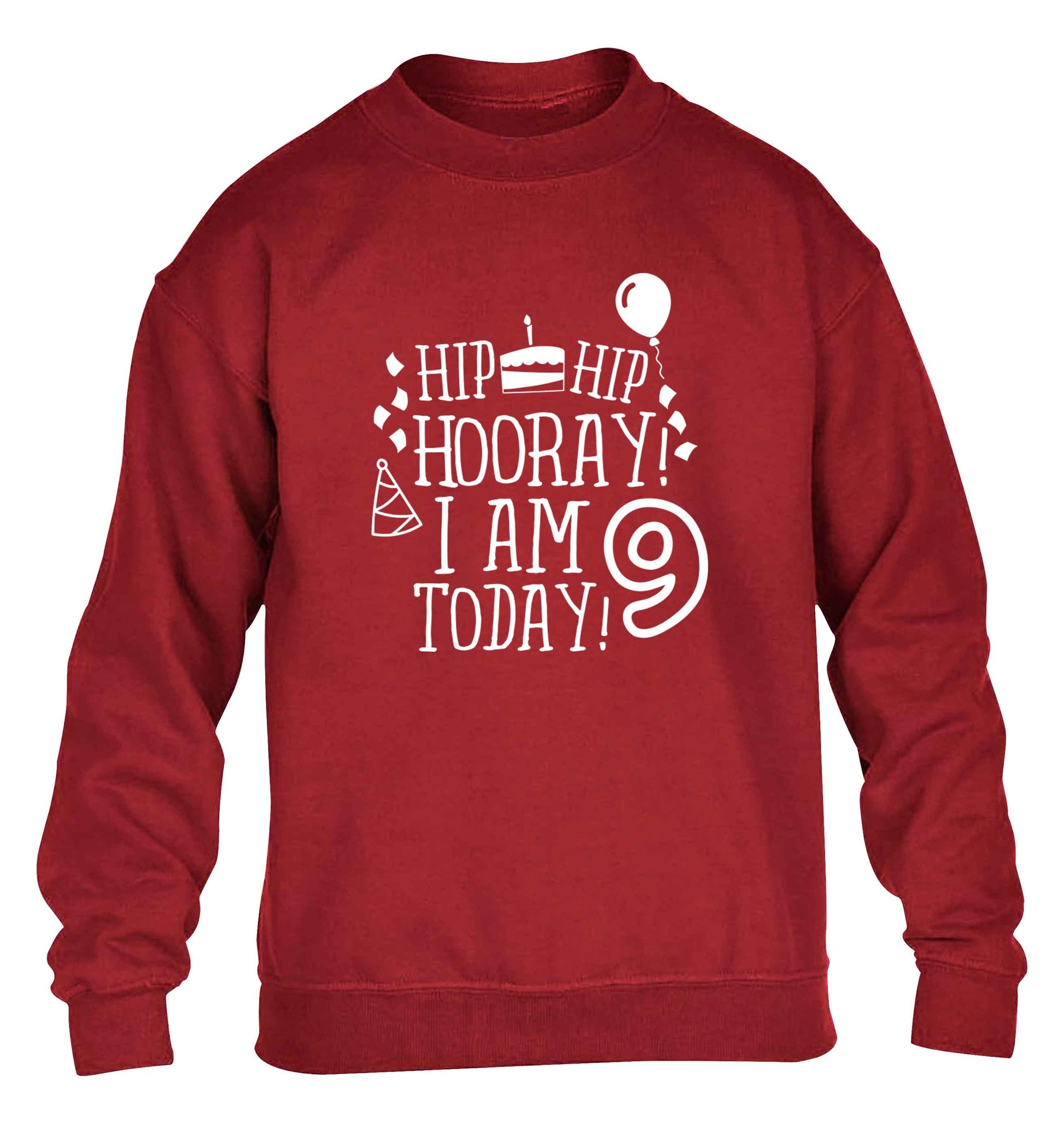 Hip hip hooray I am 9 today! children's grey sweater 12-13 Years