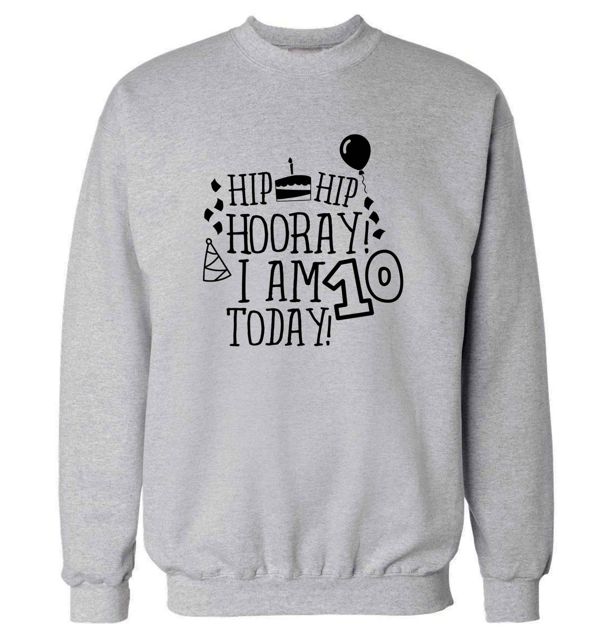 Hip hip hooray I am ten today! adult's unisex grey sweater 2XL