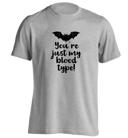 You're just my blood type adults unisex grey Tshirt 2XL