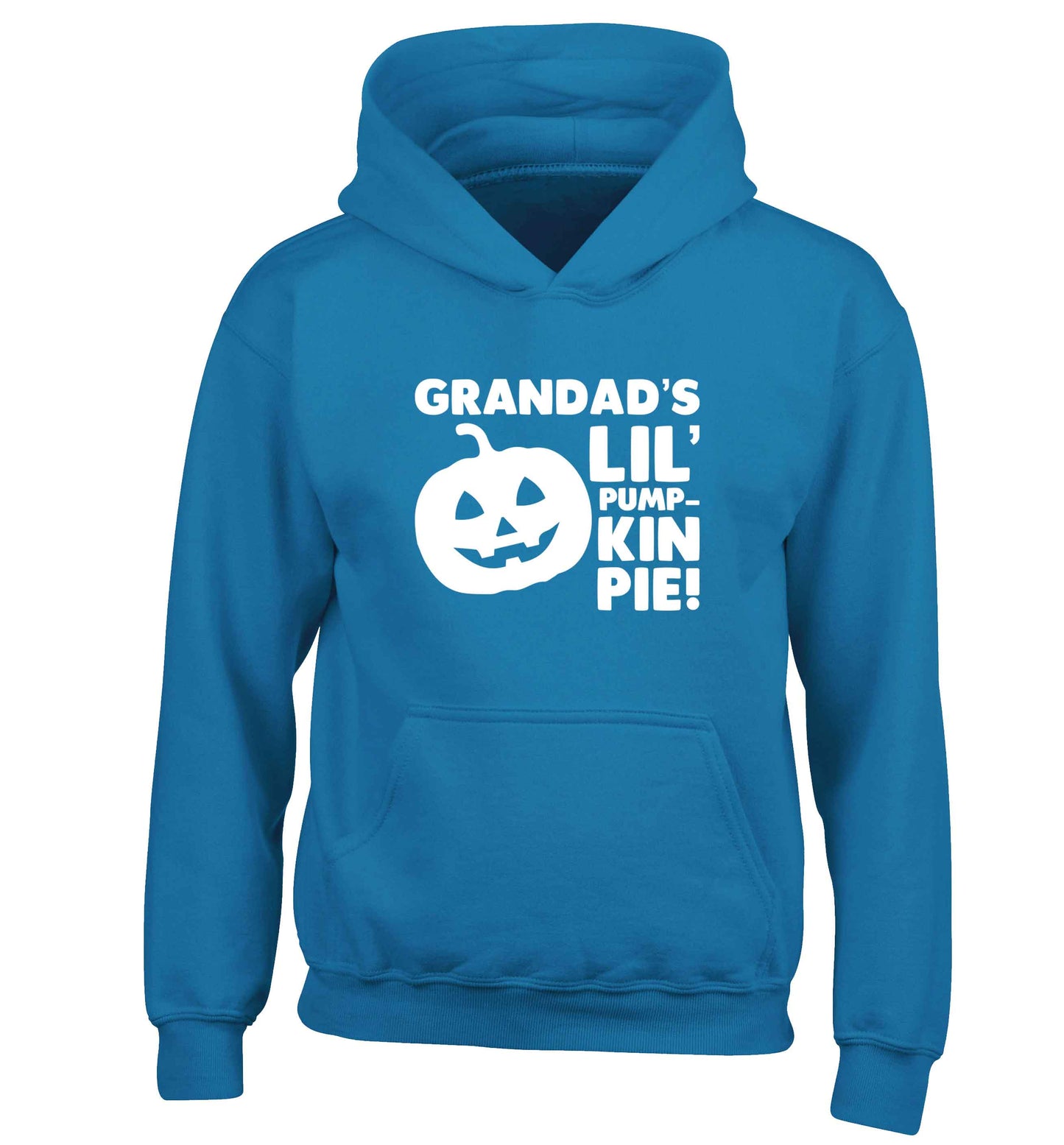 Daddy's lil' pumpkin pie children's blue hoodie 12-13 Years